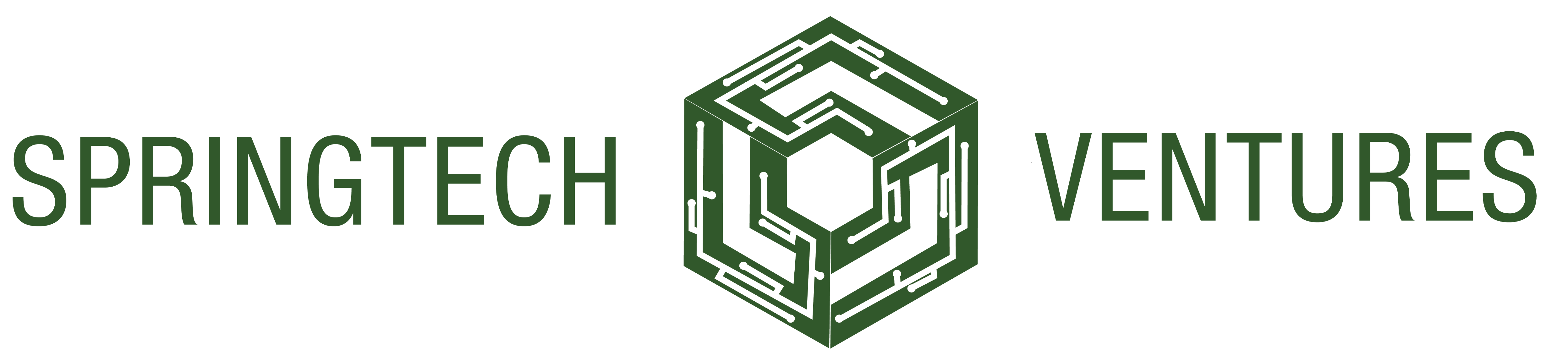 Springtech Ventures Sdn Bhd